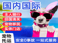 嘎洒航空快递国际宠物托运 【国